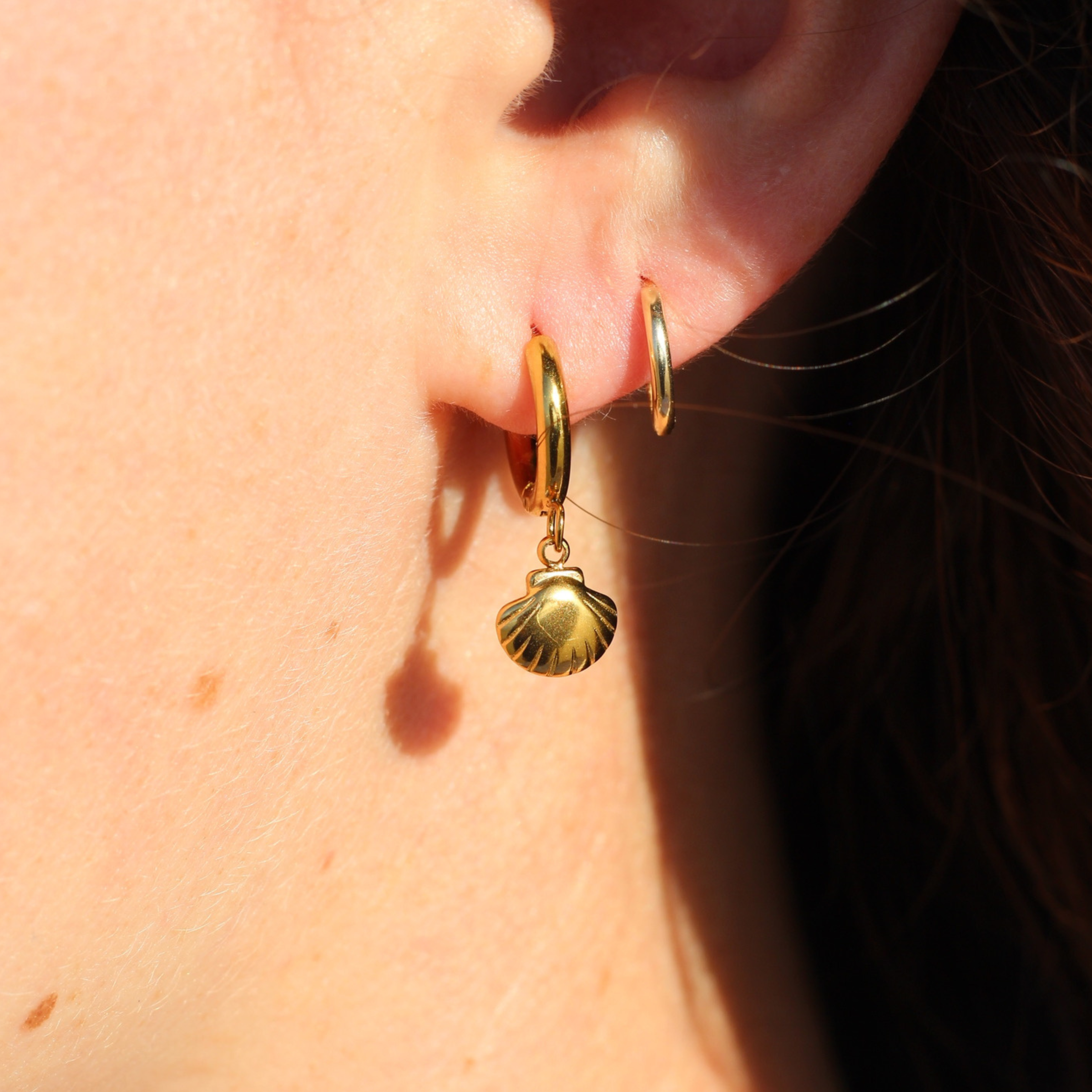 Shell Hoops
