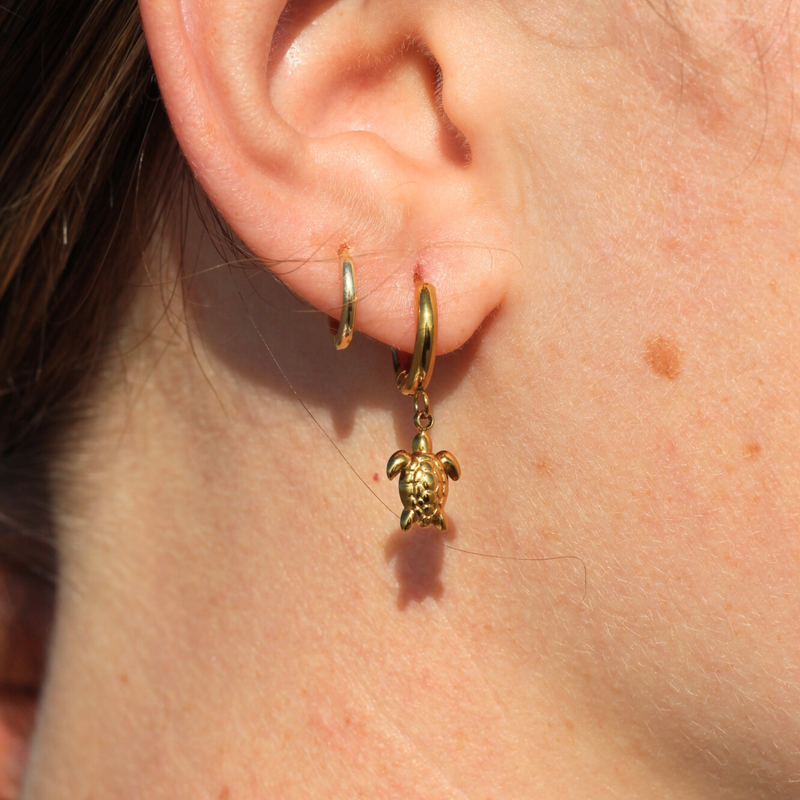 Turtle Hoops