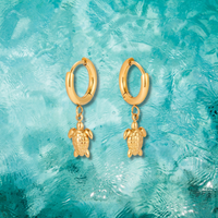 Turtle Hoops